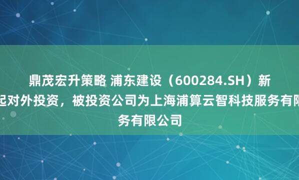 鼎茂宏升策略 浦东建设（600284.SH）新增一起对外投资，被投资公司为上海浦算云智科技服务有限公司