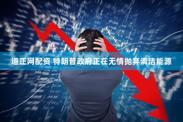 道正网配资 特朗普政府正在无情抛弃清洁能源