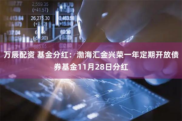 万辰配资 基金分红：渤海汇金兴荣一年定期开放债券基金11月28日分红