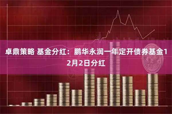 卓鼎策略 基金分红：鹏华永润一年定开债券基金12月2日分红