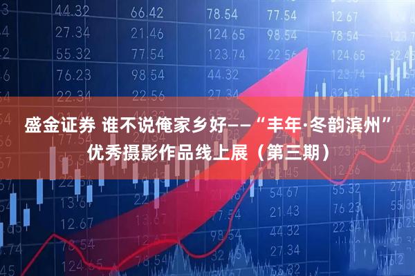 盛金证券 谁不说俺家乡好——“丰年·冬韵滨州”优秀摄影作品线上展（第三期）