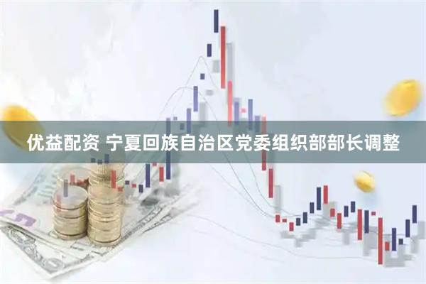 优益配资 宁夏回族自治区党委组织部部长调整